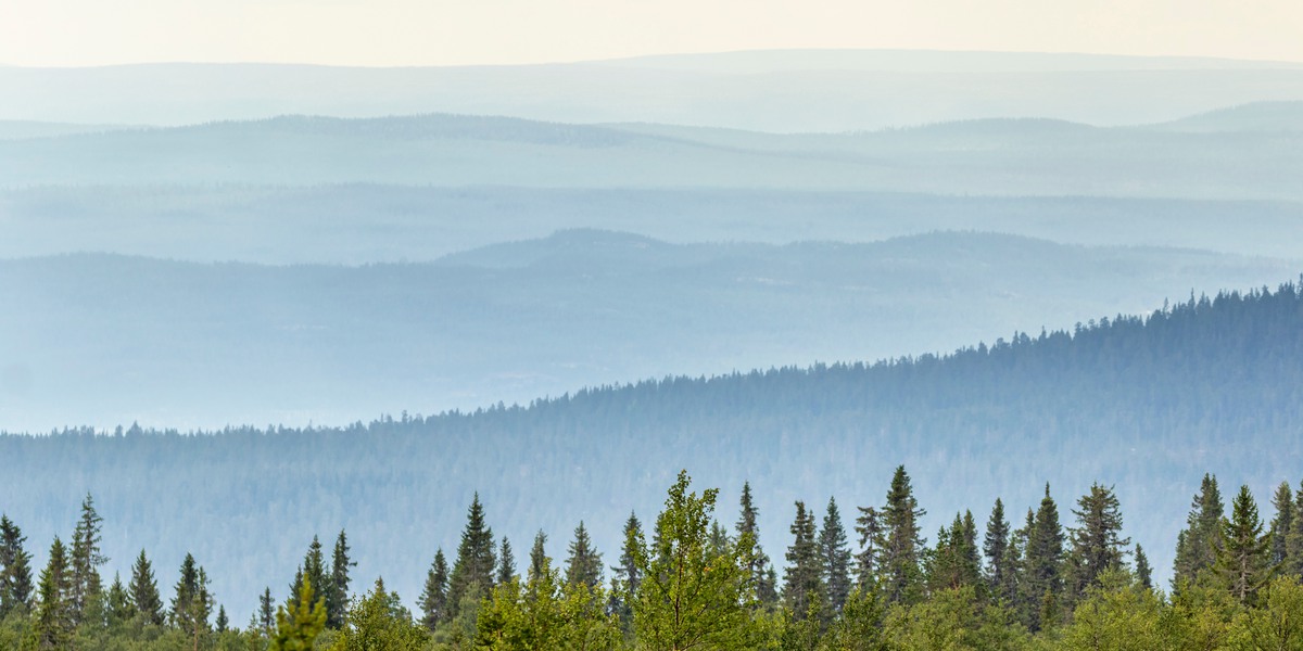 Rolling landscape view with shadings in the woods