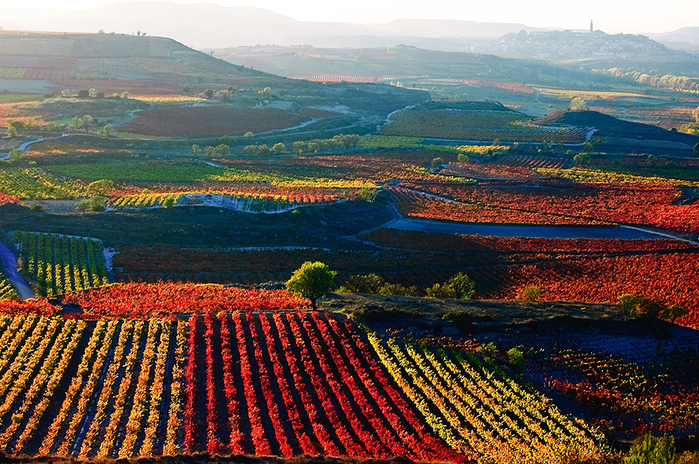 Spanien Rioja